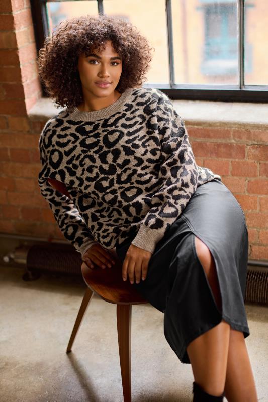 evans EVANS Curve Brown Leopard Print Knitted Jumper