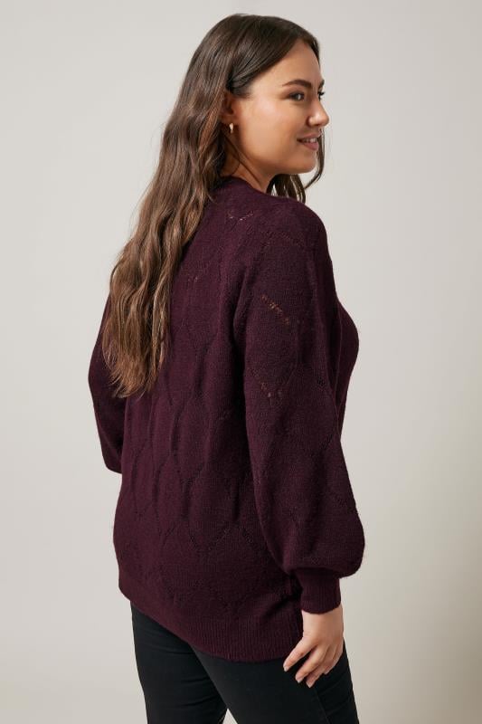 Evans EVANS Curve Burgundy Red Pointelle Knitted Jumper