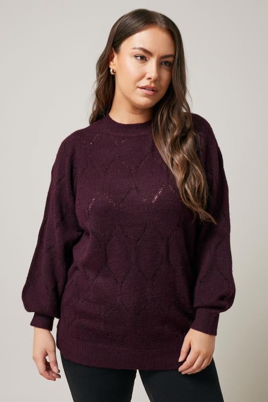 Evans EVANS Curve Burgundy Red Pointelle Knitted Jumper