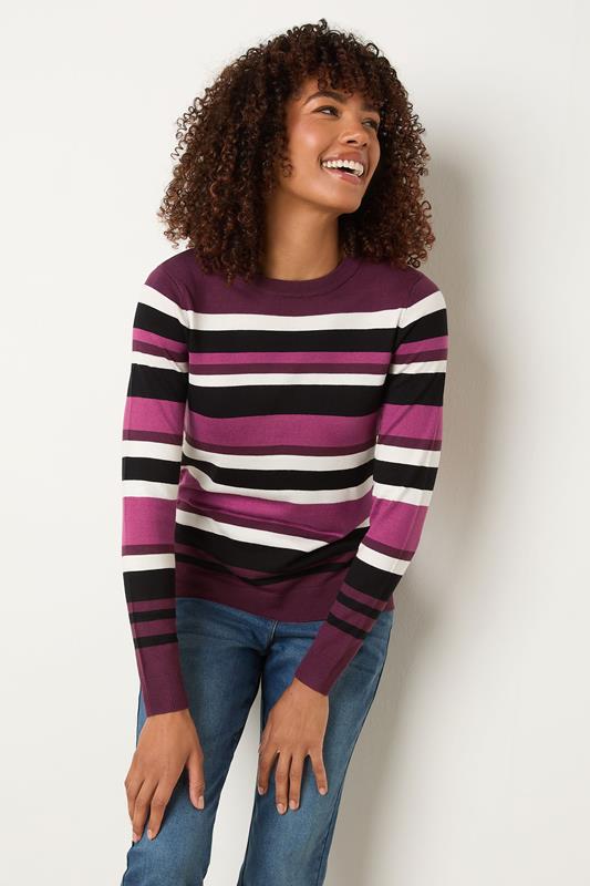 Evans M&Co Berry Purple Stripe Crew Neck Jumper