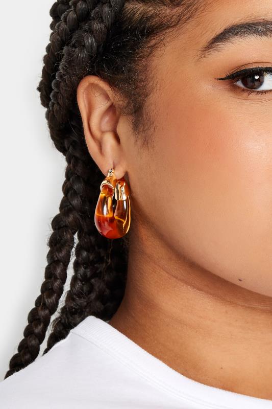 evans Yours 2 PACK Gold Tone Amber Hoop Earrings